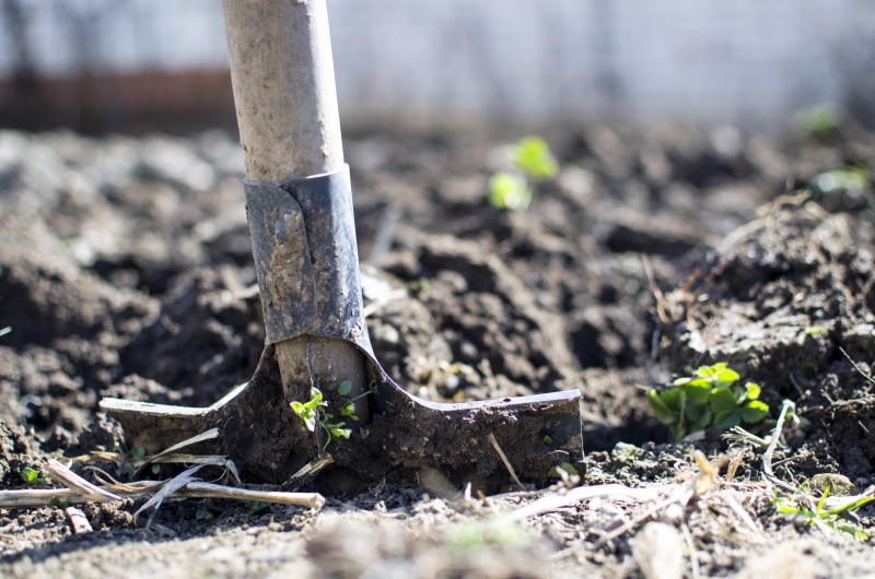 jardinerie-LA ROQUE EN PROVENCE-min_equipment-2047314